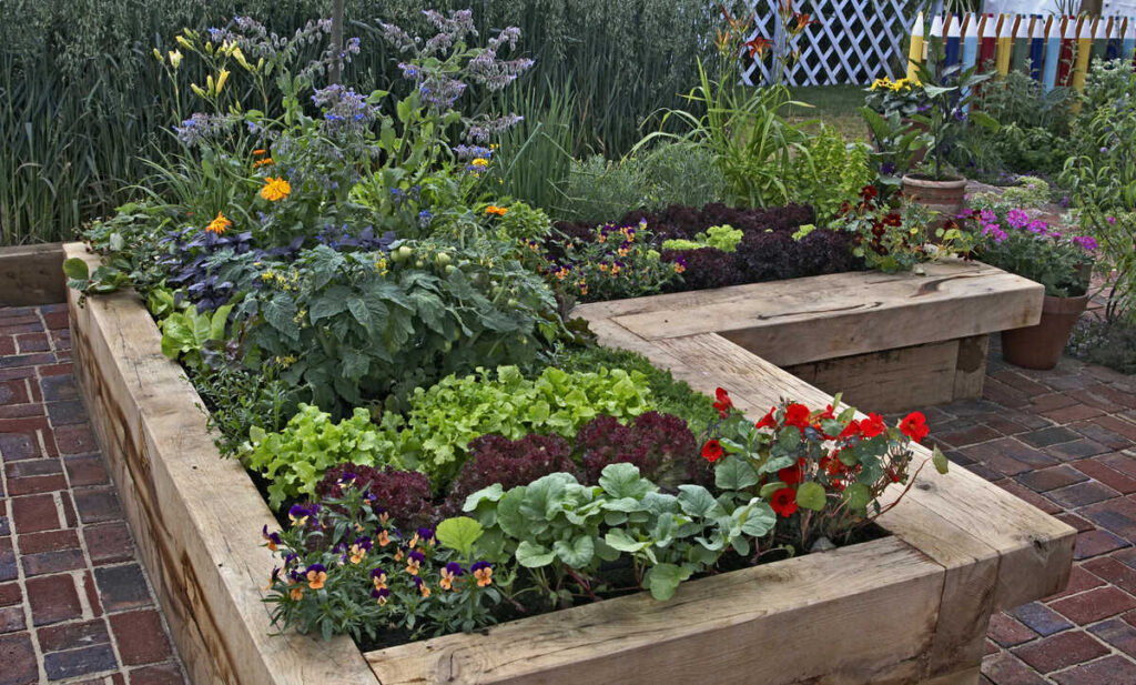 Comment fabriquer potager surélevé